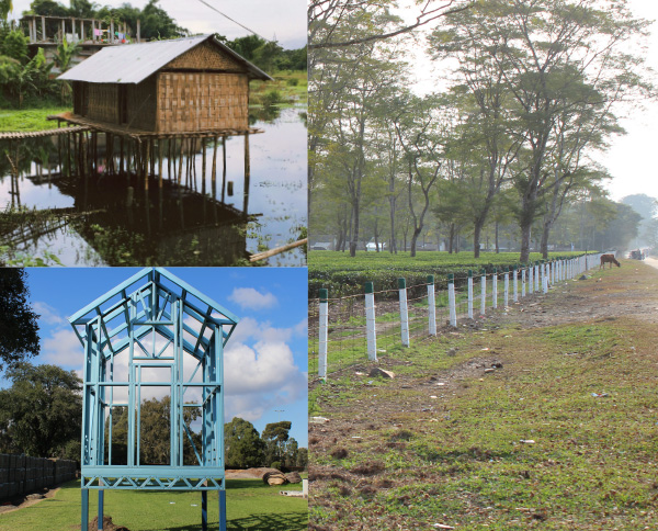 Vernacular house; new housing solutions; tea plantation.